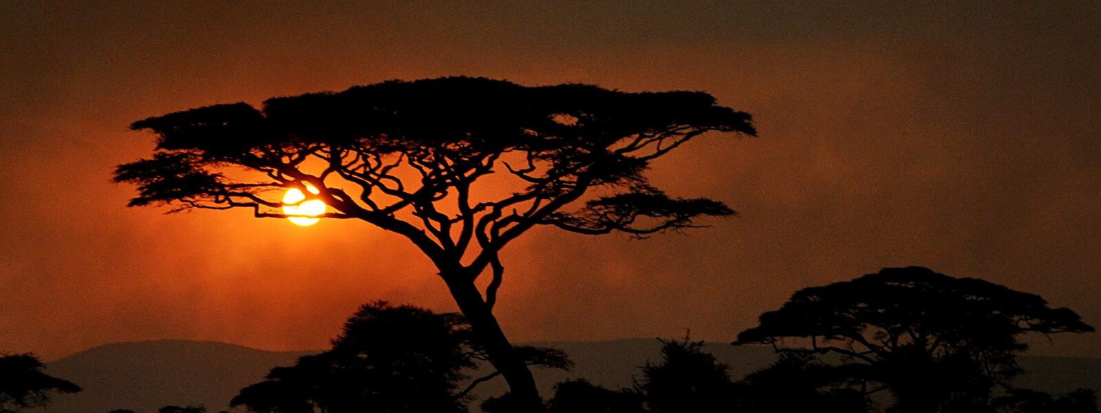 Serengeti National Park