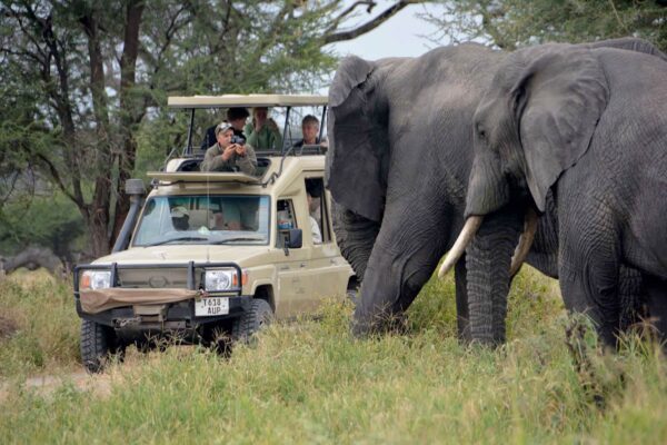 6-Day Private Wildlife & Cultural Safari