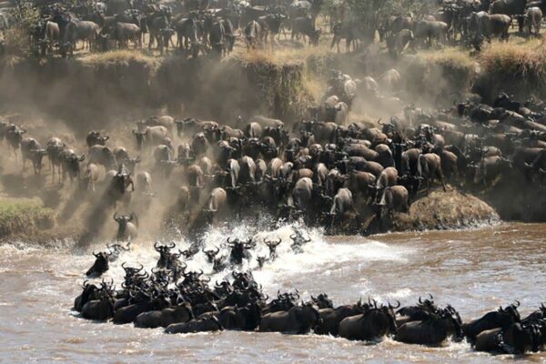 7 days Nothern Tanzania Safaris