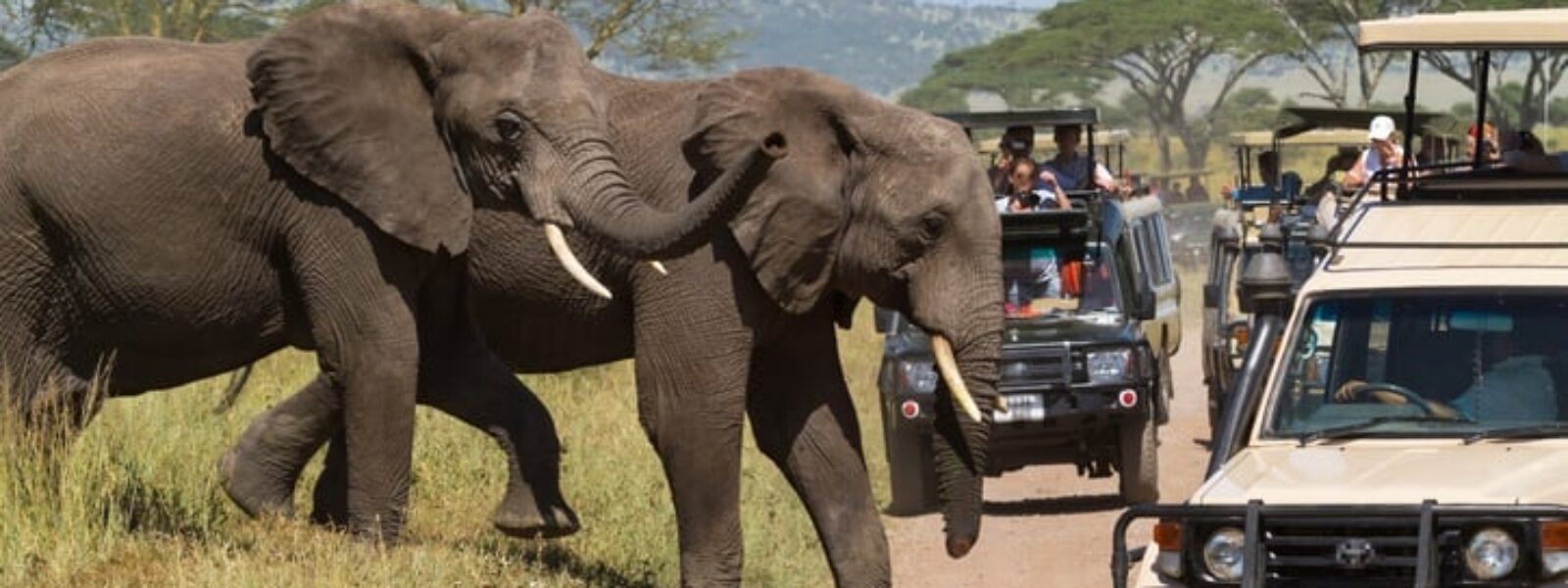 Tarangire National Park