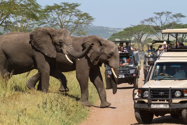 Tarangire National Park