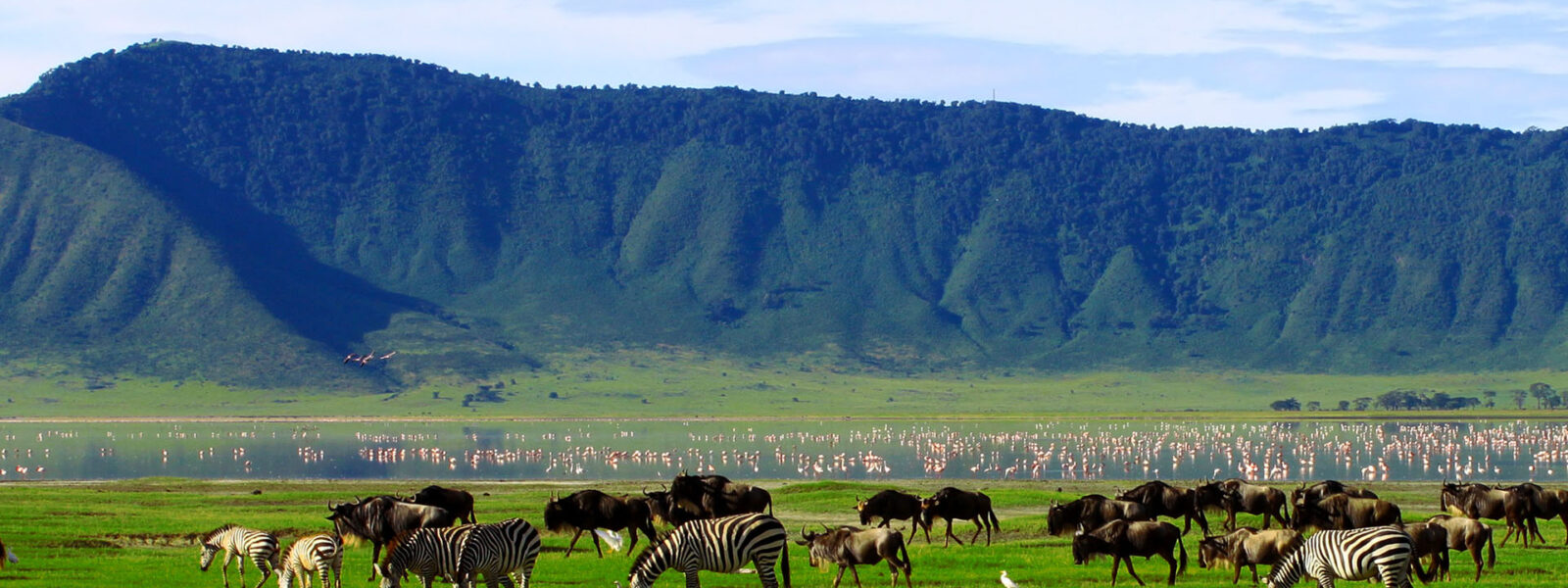 Ngorongoro Crater