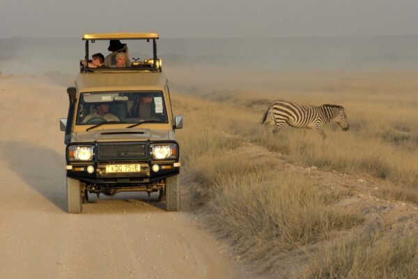 7 days Nothern Tanzania Safaris