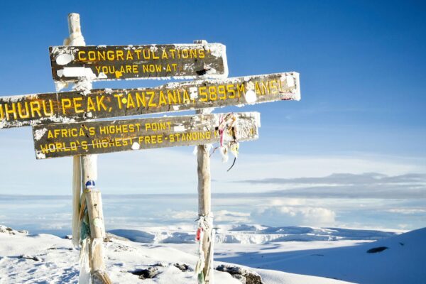 7-Day Kilimanjaro Hiking (Lemosho Route)