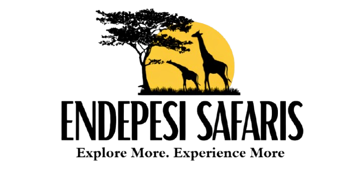endepesisafaris.com