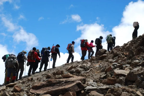 7-Day Kilimanjaro Hiking (Lemosho Route)