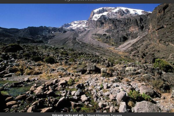 7-Day Mount Kilimanjaro Trekking Machame Route