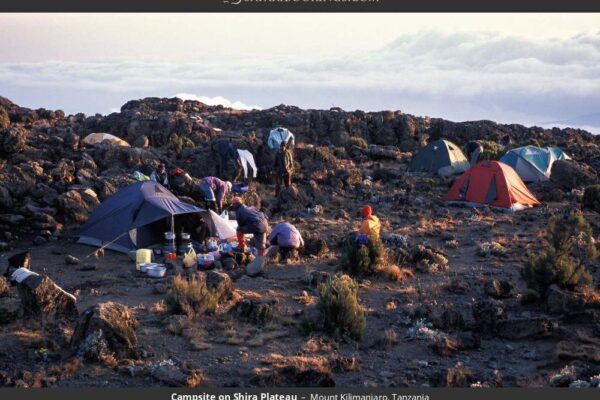 7-Day Mount Kilimanjaro Trekking Machame Route