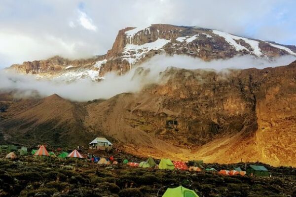 8-Day Mount Kilimanjaro Trek – Lemosho Route