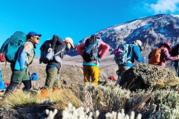 6-Day Hiking Mount Kilimanjaro via Rongai Route Climbing