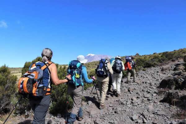 6-Day Hiking Mount Kilimanjaro via Rongai Route Climbing