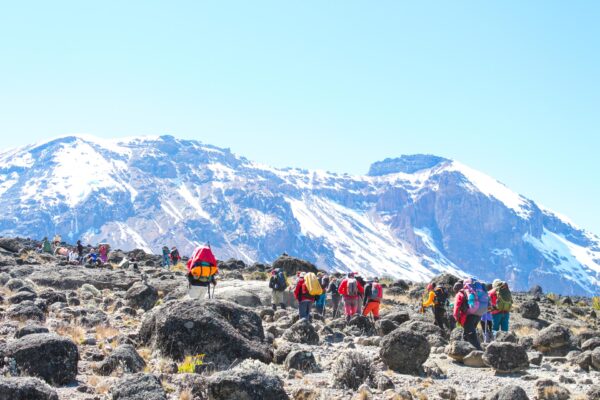6-Day Hiking Mount Kilimanjaro via Rongai Route Climbing